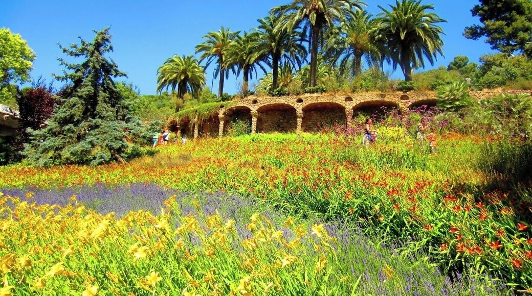One of Gaudi's great masterpieces and gifts to Barcelona, Parc Güell, is a must visit.
This Willy Wonka-esque park overlooks the city and is filled with hidden gems at every corner: creative architecture, decor, lush gardens, and street performers abound. You can easily spend an entire day at the park.