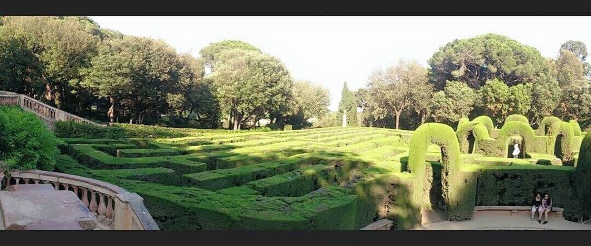 It´s a fun day at the maze!