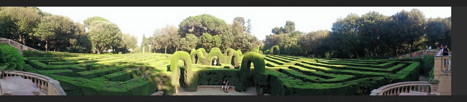 It´s a fun day at the maze!