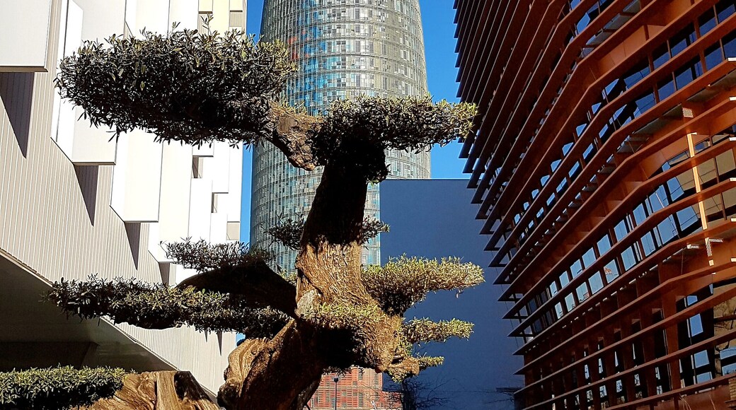 Nice view for a coffee