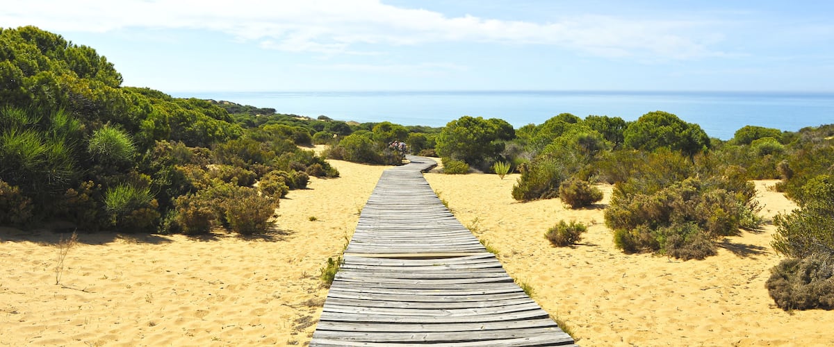 A wooden boardwalk leading to the beach, surrounded by sand and dense greenery.