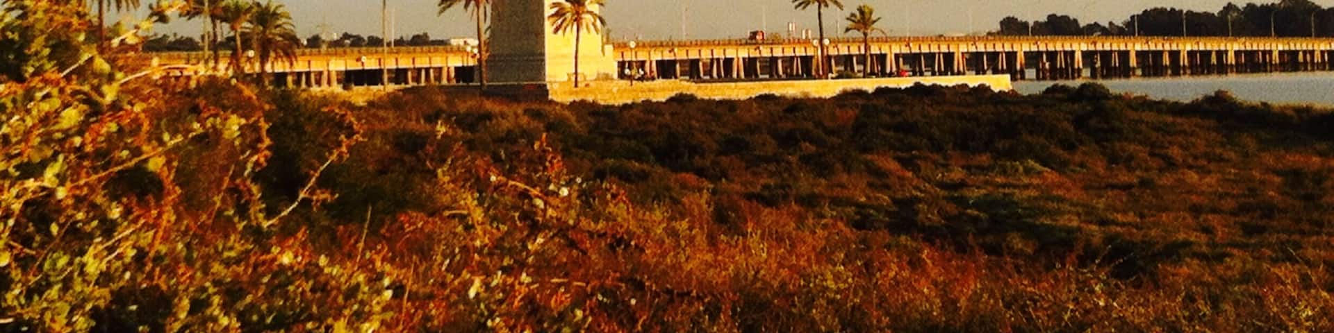 A tall white statue on a hill with a pier extending into the water.