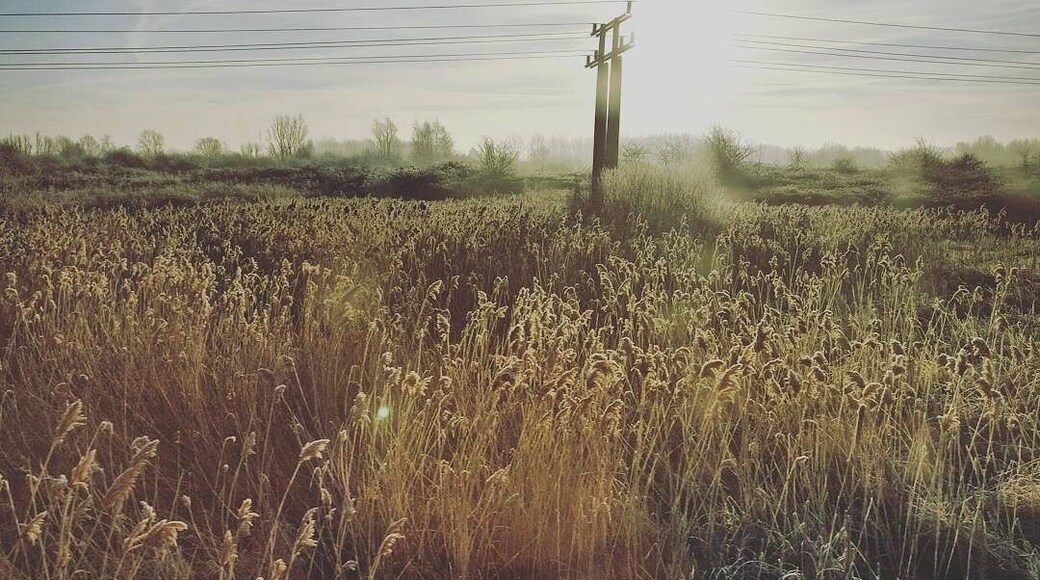 A peaceful commute from Stansted Airport to the office in a frosty morning.
#onrails #merch #lifeatexpedia #sunrise