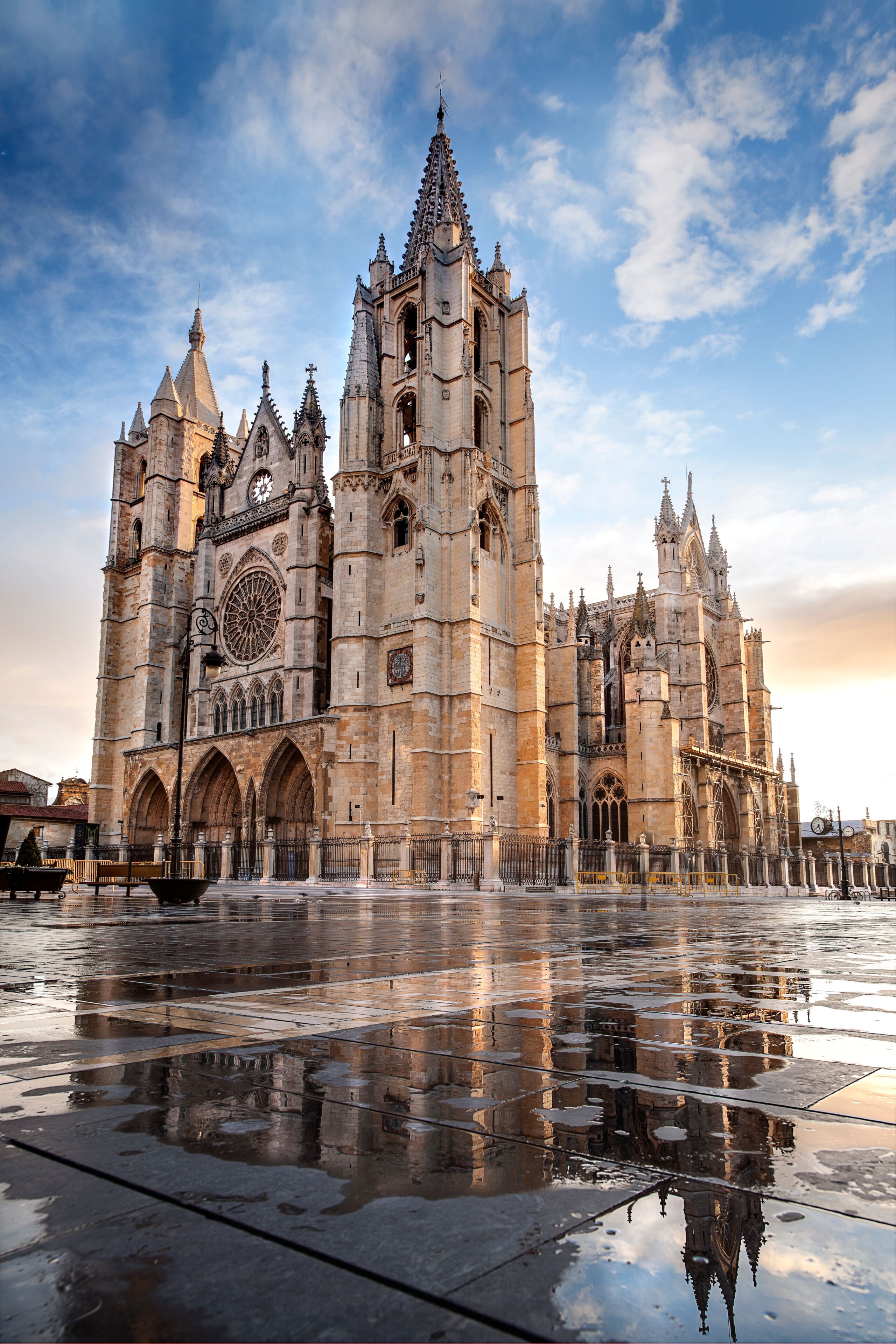 León