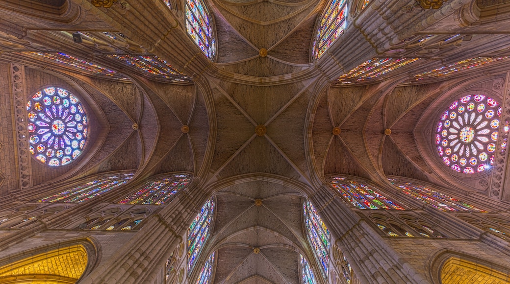 León