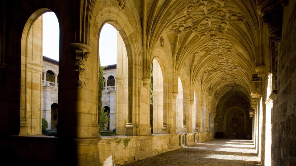 Cloister Parador Hostal de San Marcos and hotel in Leon, Castilla y Leon region