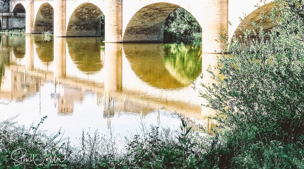 Bridge of Logrono along the Camino de Santiago
@ iphonefoto