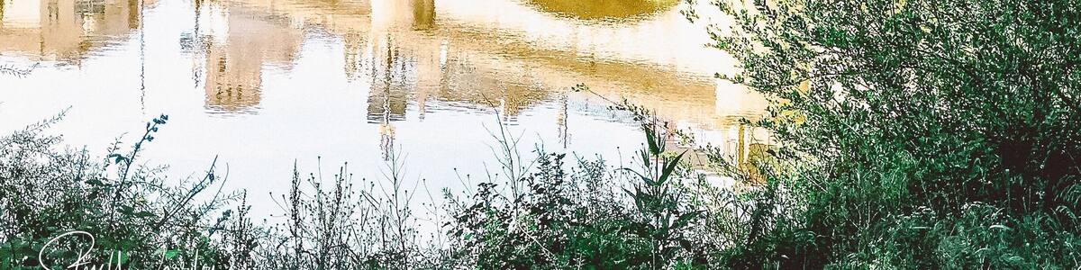 Bridge of Logrono along the Camino de Santiago
@ iphonefoto