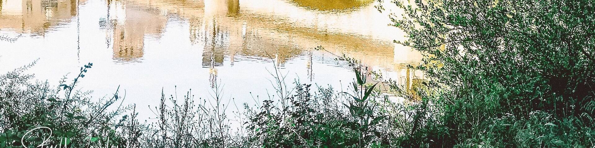 Bridge of Logrono along the Camino de Santiago
@ iphonefoto