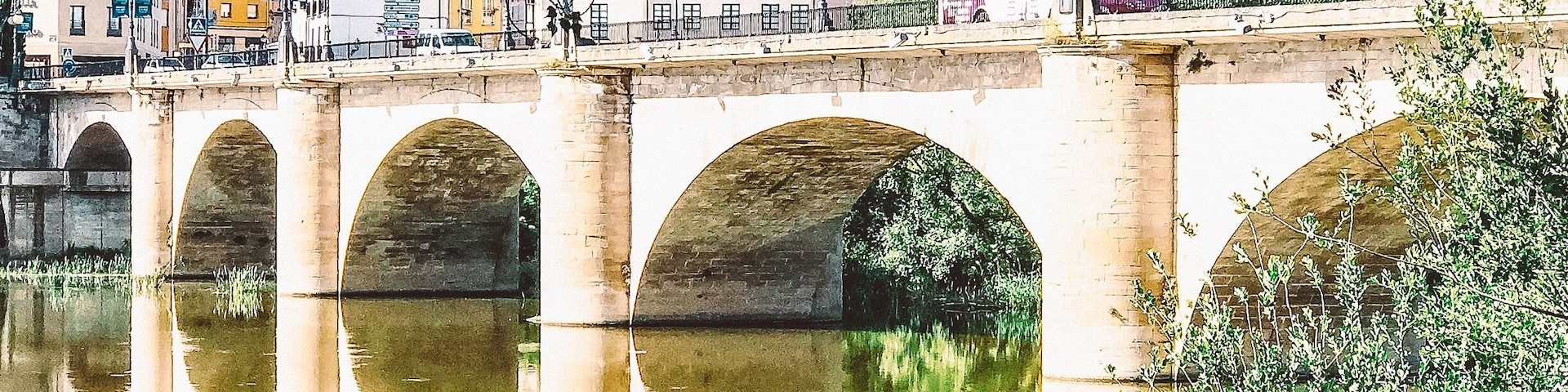 Bridge of Logrono along the Camino de Santiago
@ iphonefoto