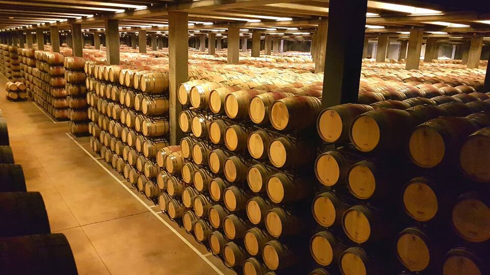 A large underground storage area with rows of wooden barrels.
