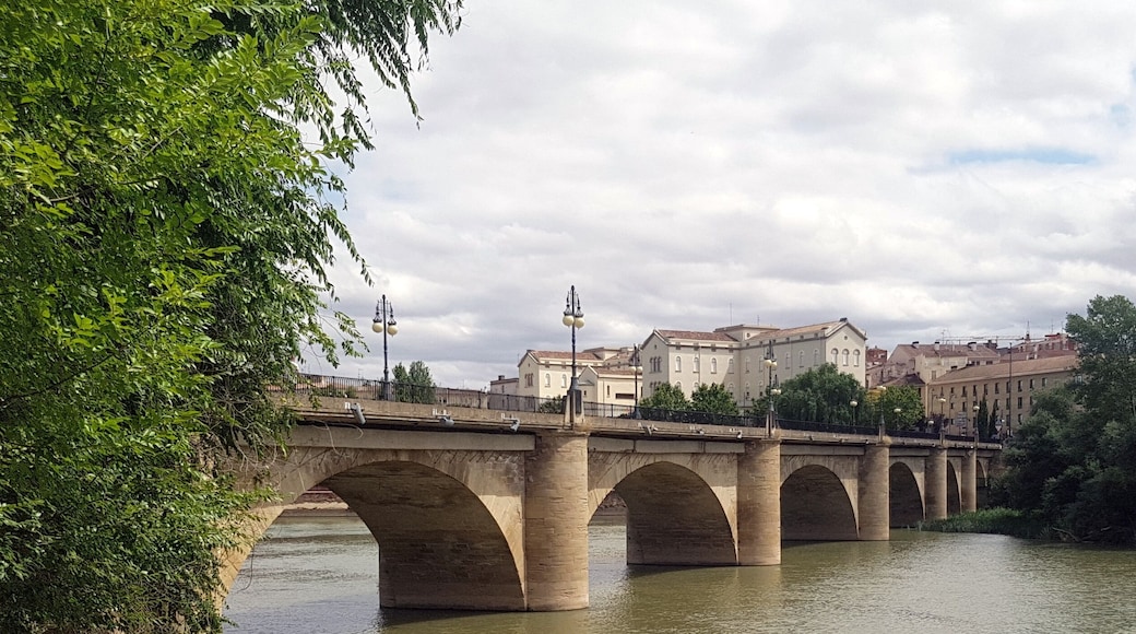 Vista del Puente de piedra de Logroño desde la margen izquierda.