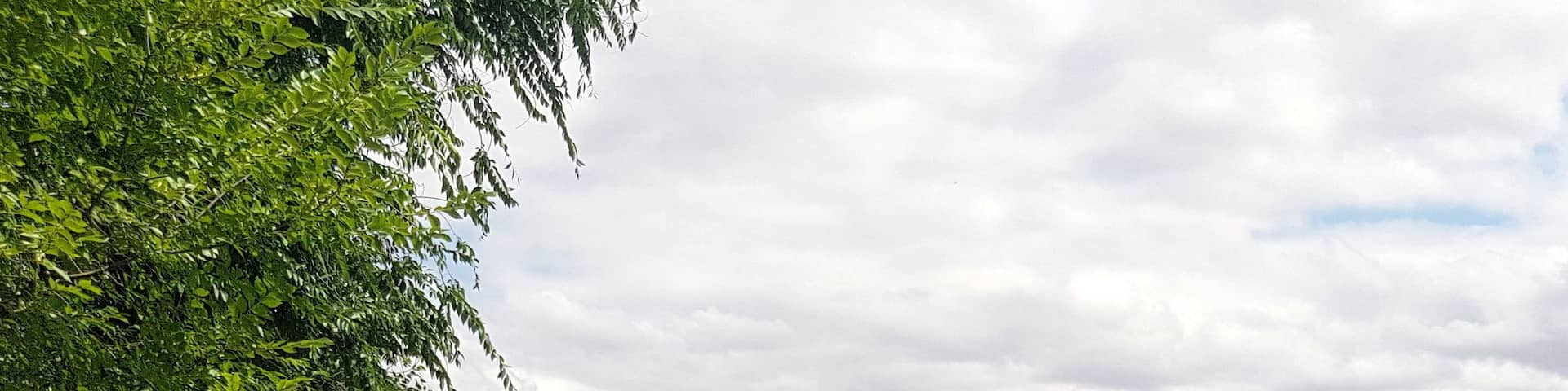 Vista del Puente de piedra de Logroño desde la margen izquierda.