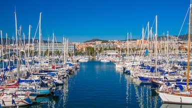 A marina filled with sailboats and yachts, surrounded by buildings and hills.