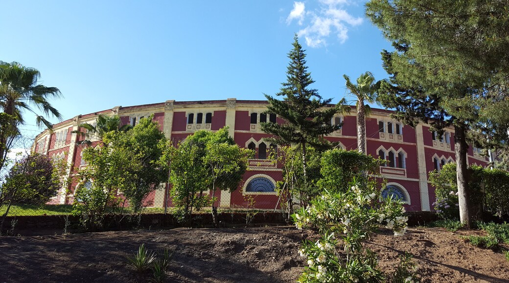 I don't agree with the "sport" but the building is worth a photo.