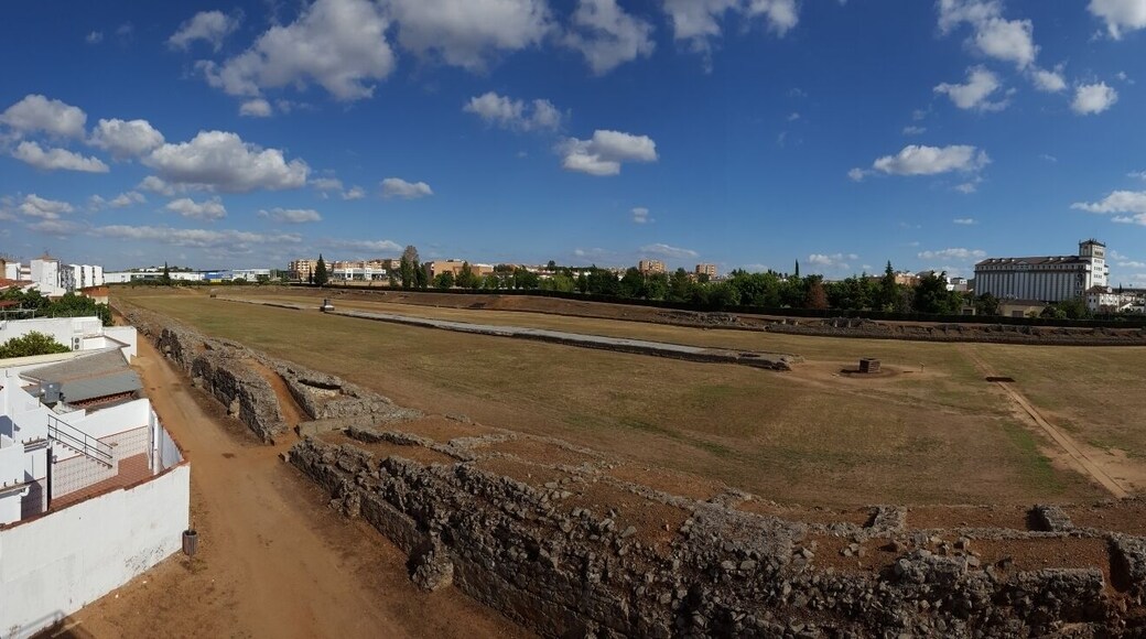 A massive area. Can you imagine chariot racing here?