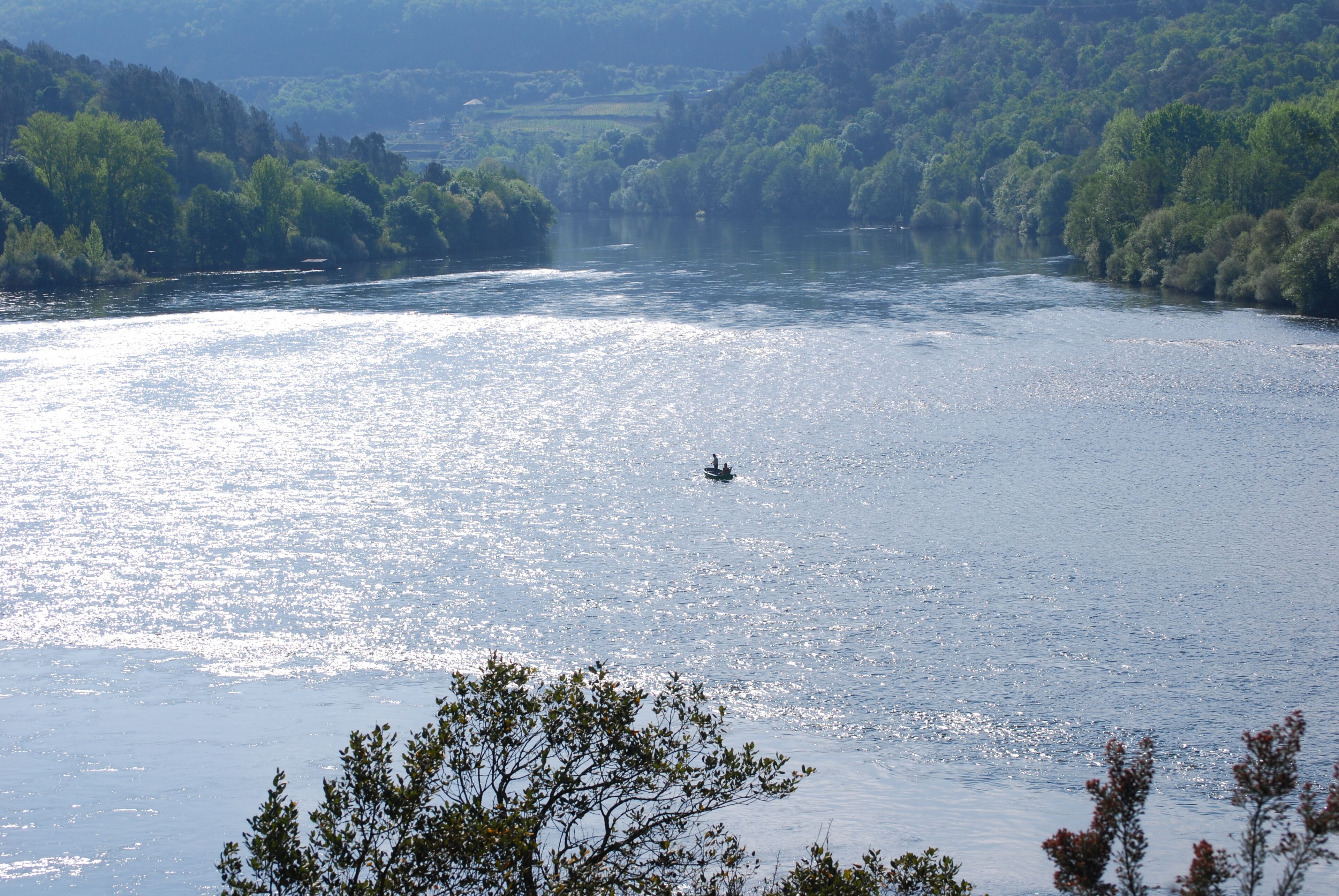 Pescando no Miño 2