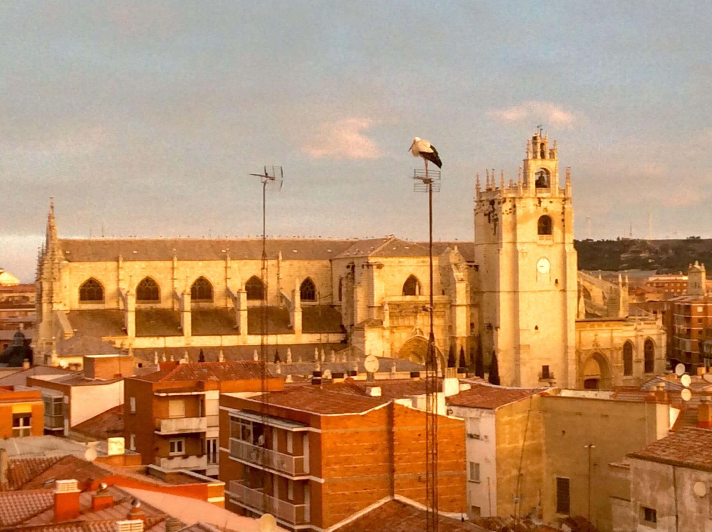Amanecer de invierno