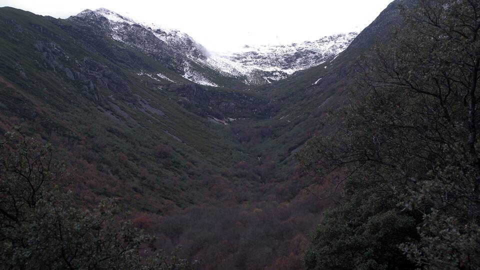 A valley with snow-capped mountains and dense forest.