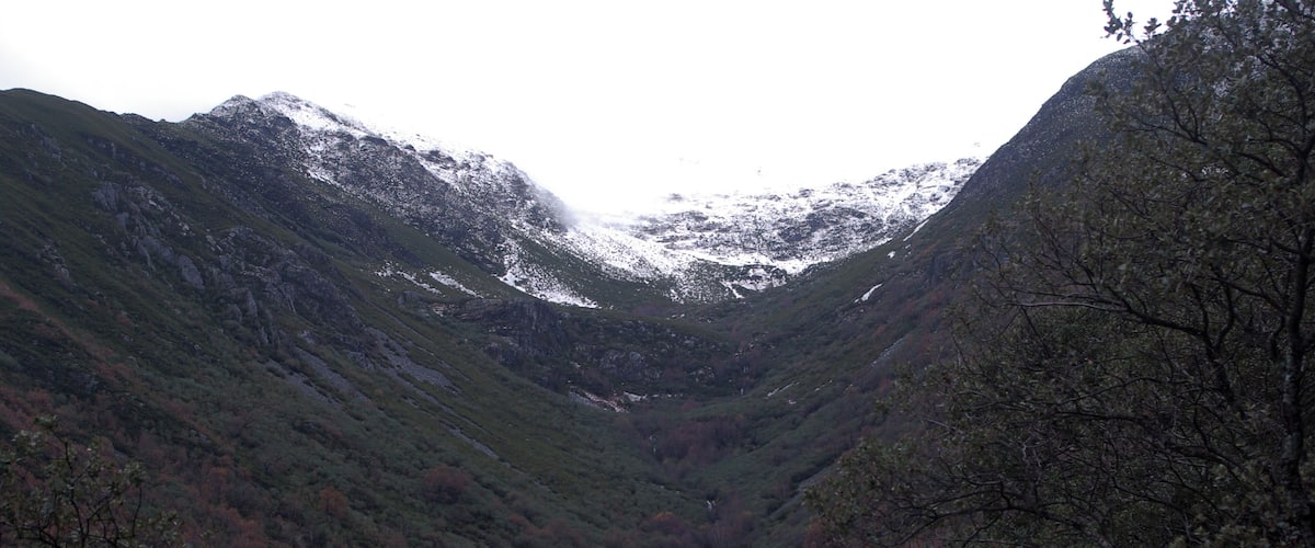 A valley with snow-capped mountains and dense forest.