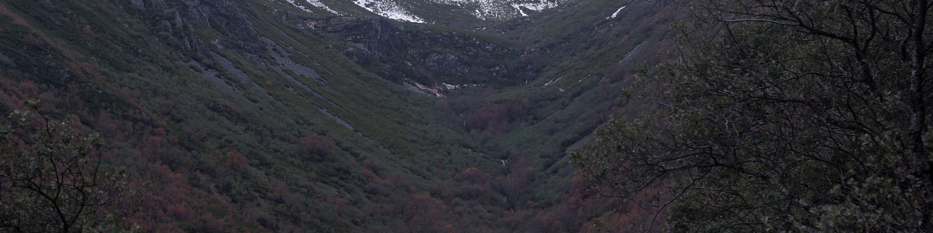 A valley with snow-capped mountains and dense forest.
