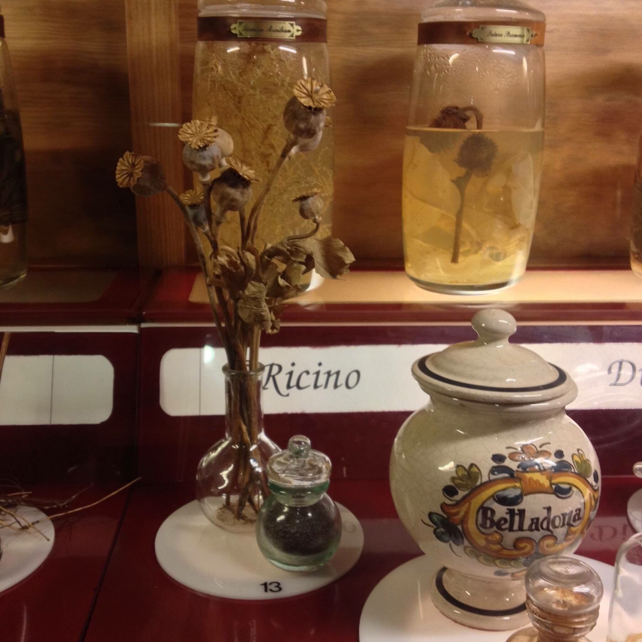 Opium poppies and other apothecary items. synthetic opiates used to treat pain, which are an epidemic in the US now, are derived from the opium poppy.