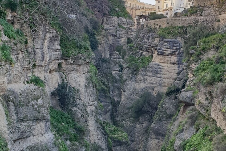 Un cañón con un río serpenteando entre acantilados rocosos y vegetación.