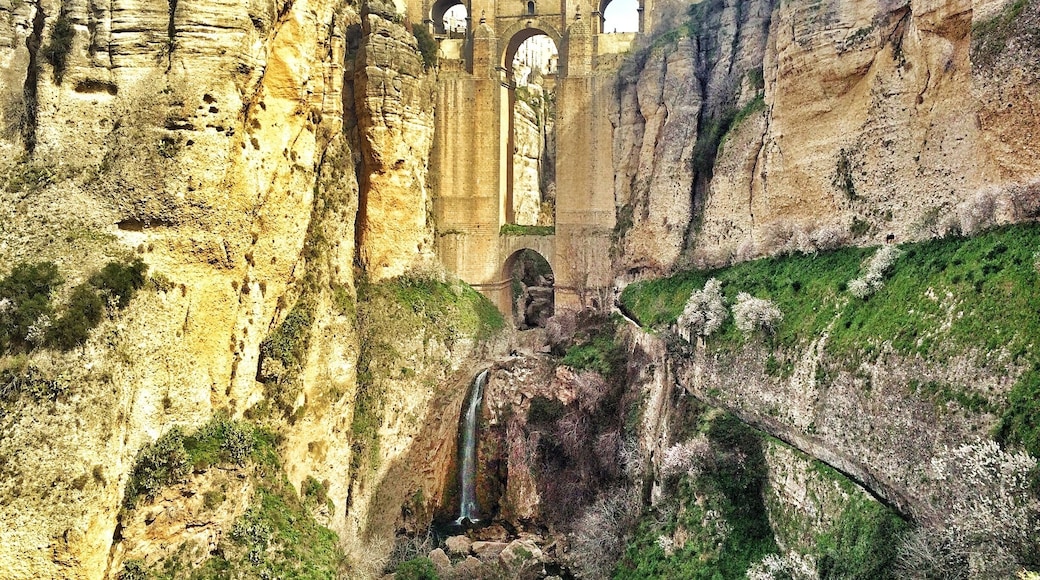 The Stone Bridge Puento Nuevo, designed by José Martín de Aldehuela, was build from 1751-1802 over the 120m deep gully El Tajo.
After crossing the Puente Nuevo to the old town keep walking right until you reach some stairs going downhill to get this amazing view!
It's the only place to fully see the bridge and the waterfall!
#architecture
