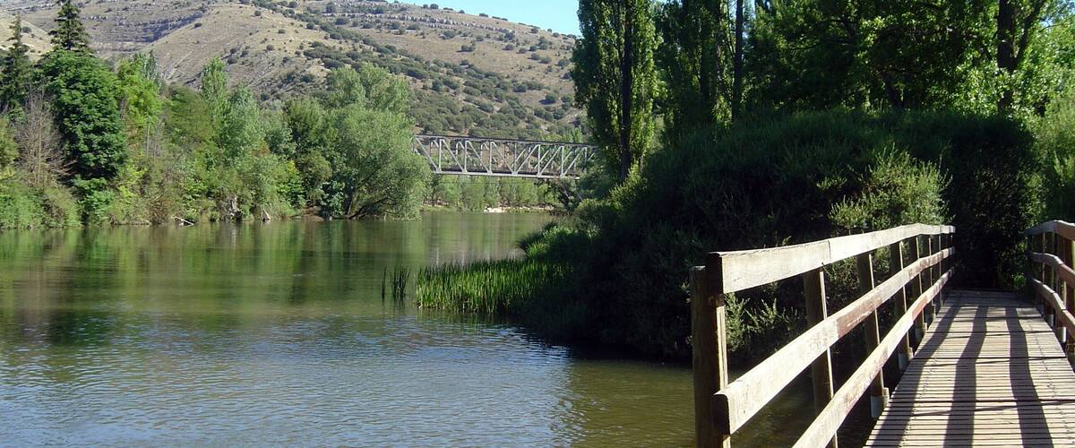 A wooden bridge over a calm river, surrounded by greenery and a distant hill with a metal structure.
