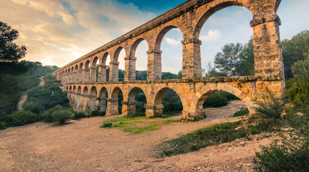 Tarragonés