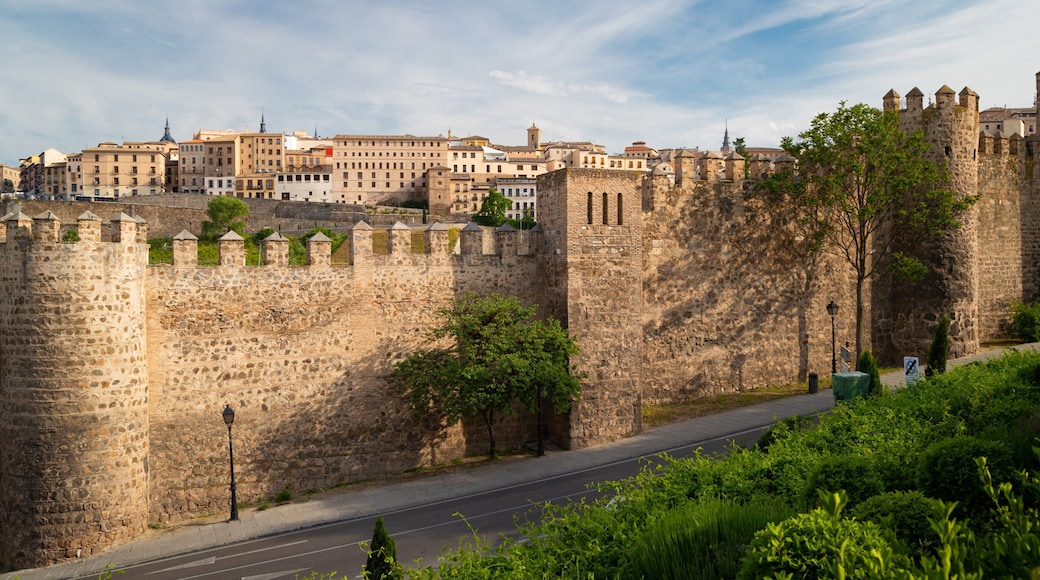 Toledo showing a castle and heritage architecture