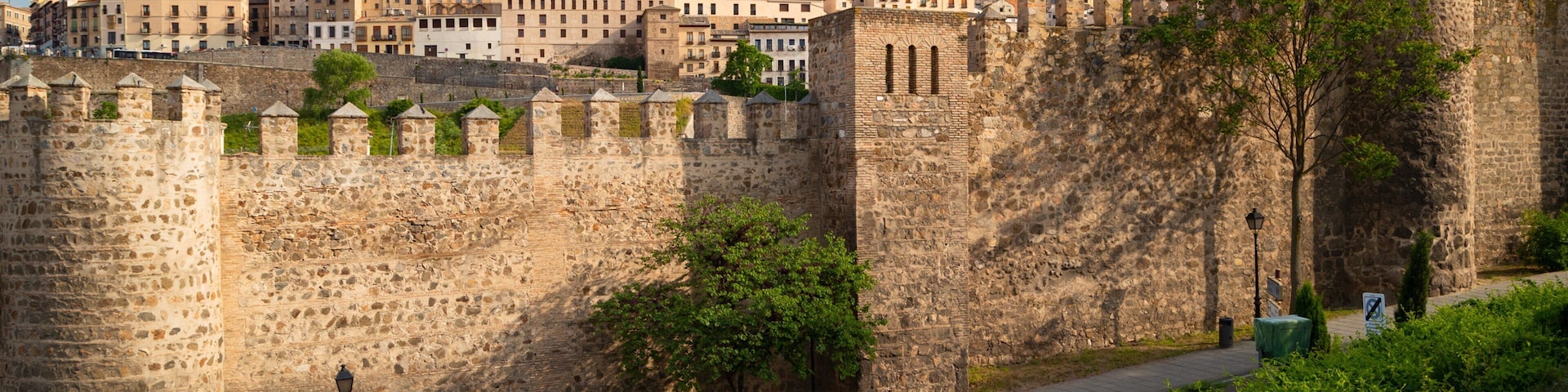 Toledo showing a castle and heritage architecture