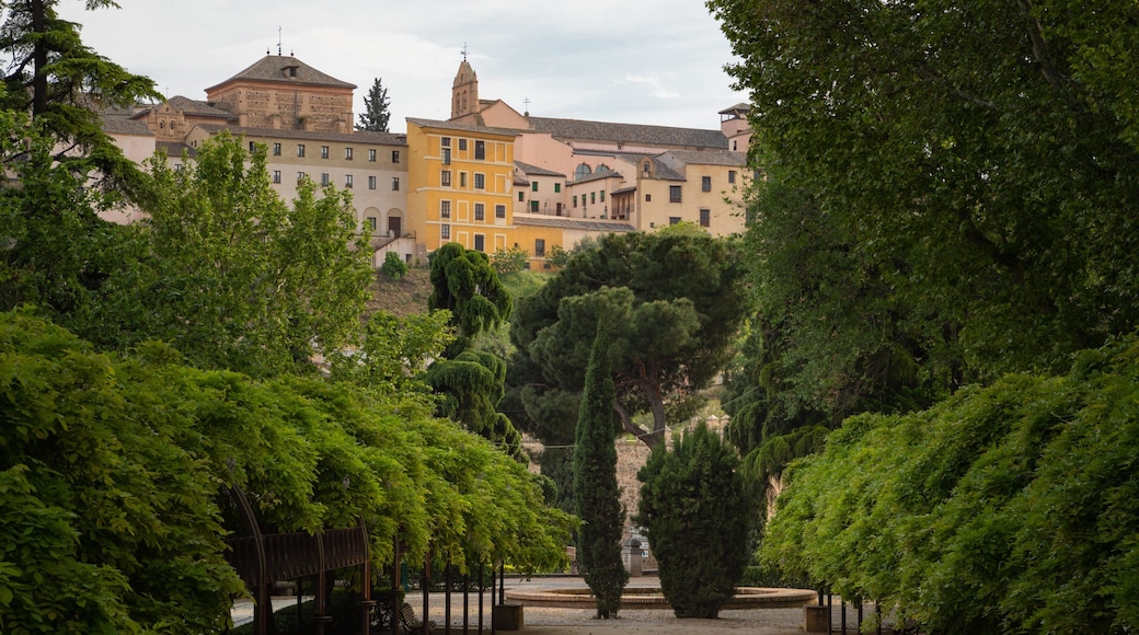 Toledo showing a garden