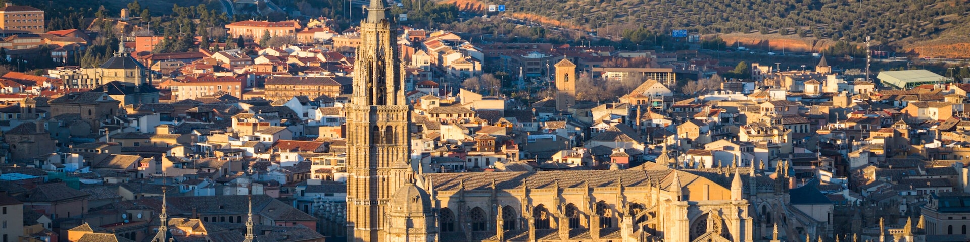 Una catedral con una aguja alta, rodeada por un pueblo denso con edificios históricos y un paisaje montañoso al fondo.