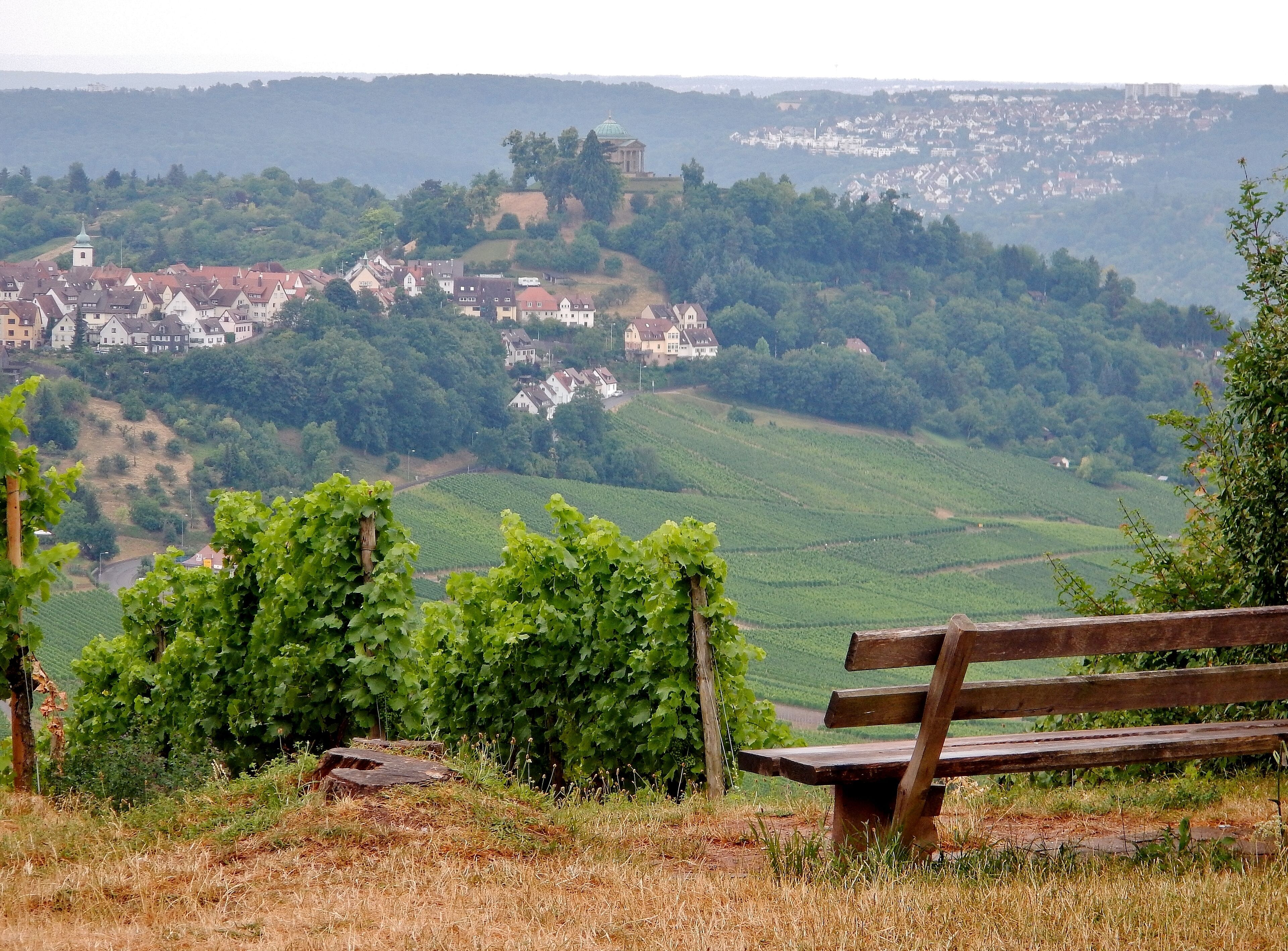 Ausblick bis zur Grabkapelle Württemberg