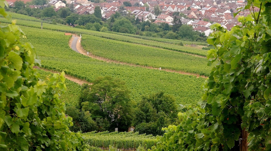 Blick Richtung Fellbach