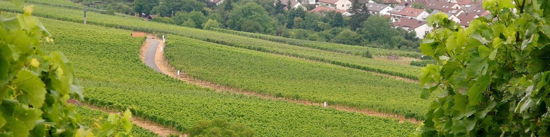 Blick Richtung Fellbach