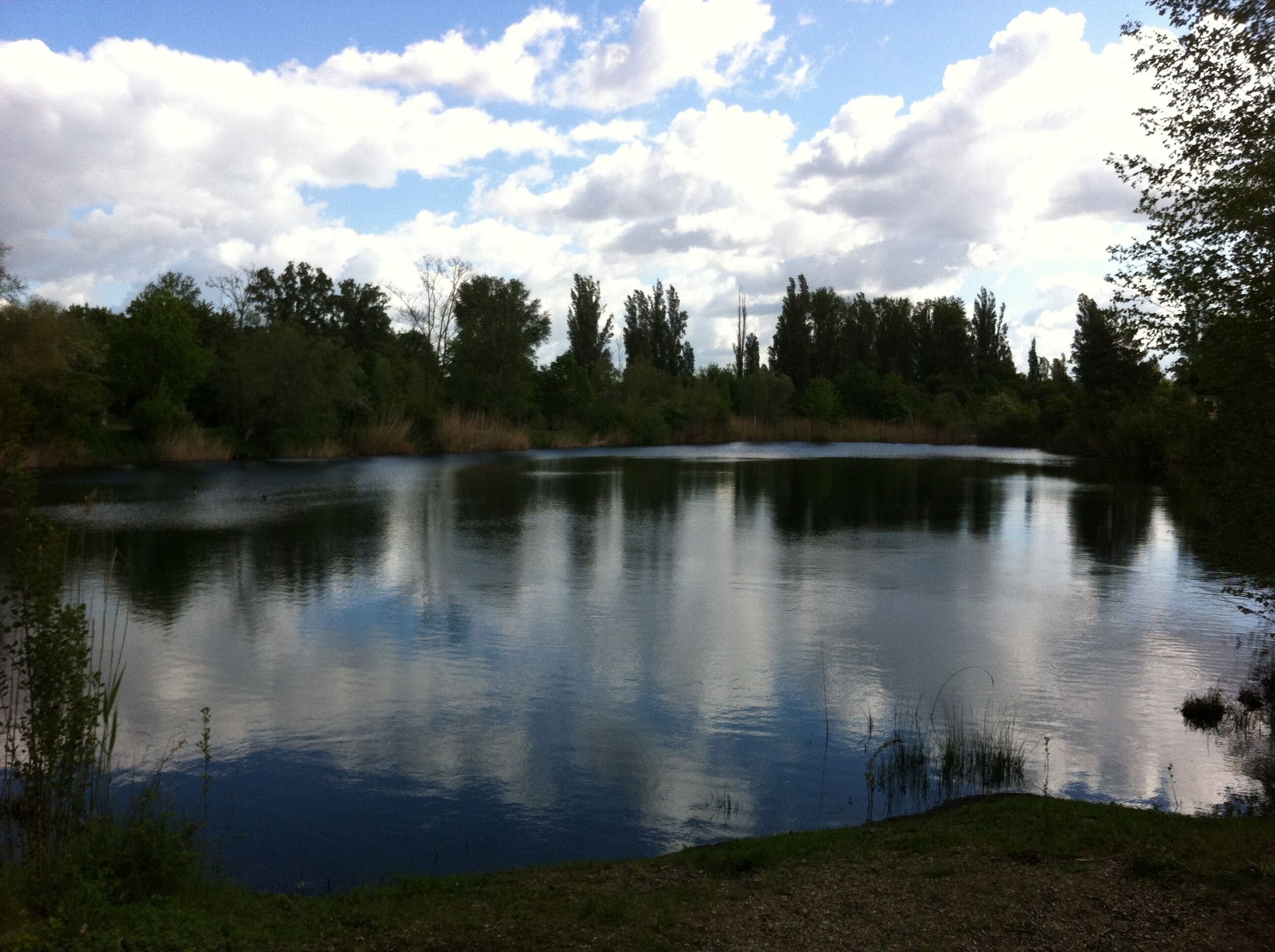 Der Kräppelweiher liegt an der L523 (zwischen Frankenthal-Nord und Bobenheim-Roxheim) im Landschaftsschutzgebiet „Kräppelweiher“, Frankenthal, Rheinland-Pfalz.