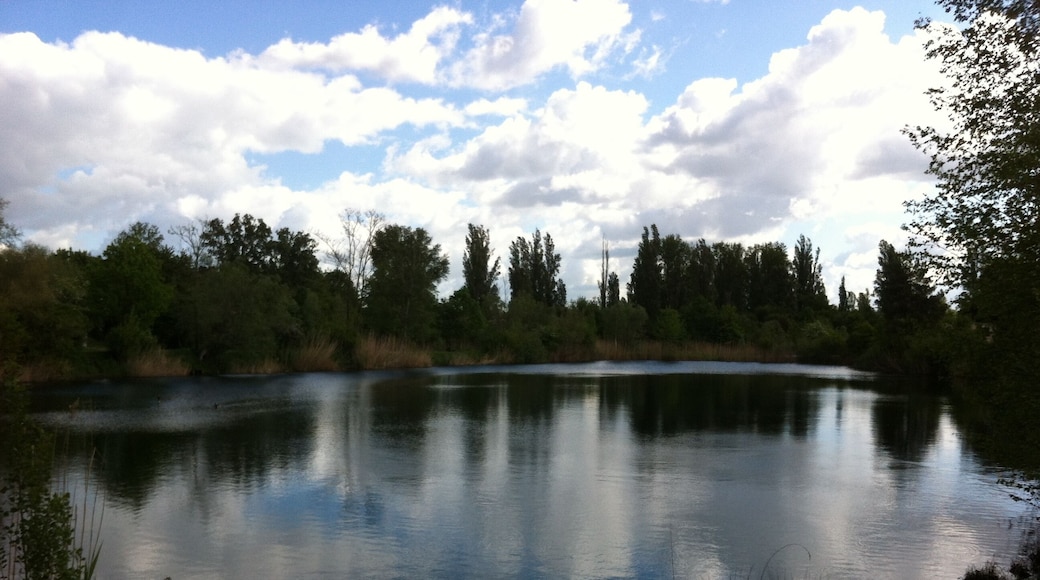 Der Kräppelweiher liegt an der L523 (zwischen Frankenthal-Nord und Bobenheim-Roxheim) im Landschaftsschutzgebiet „Kräppelweiher“, Frankenthal, Rheinland-Pfalz.