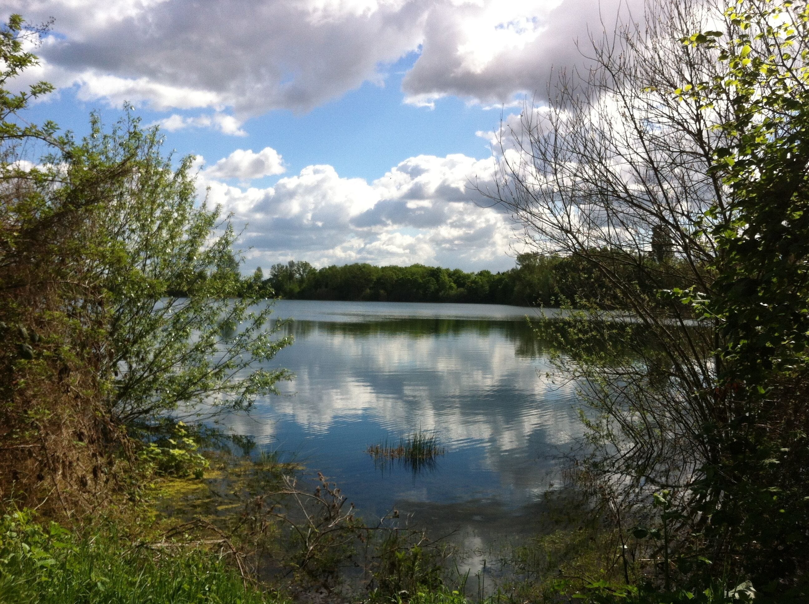 Der Kräppelweiher liegt an der L523 (zwischen Frankenthal-Nord und Bobenheim-Roxheim) im Landschaftsschutzgebiet „Kräppelweiher“, Frankenthal, Rheinland-Pfalz.
