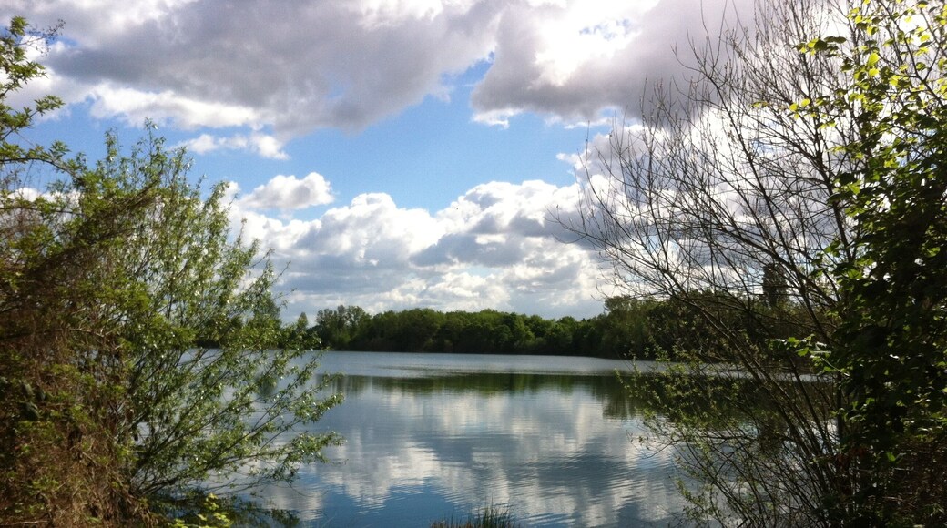 Der Kräppelweiher liegt an der L523 (zwischen Frankenthal-Nord und Bobenheim-Roxheim) im Landschaftsschutzgebiet „Kräppelweiher“, Frankenthal, Rheinland-Pfalz.