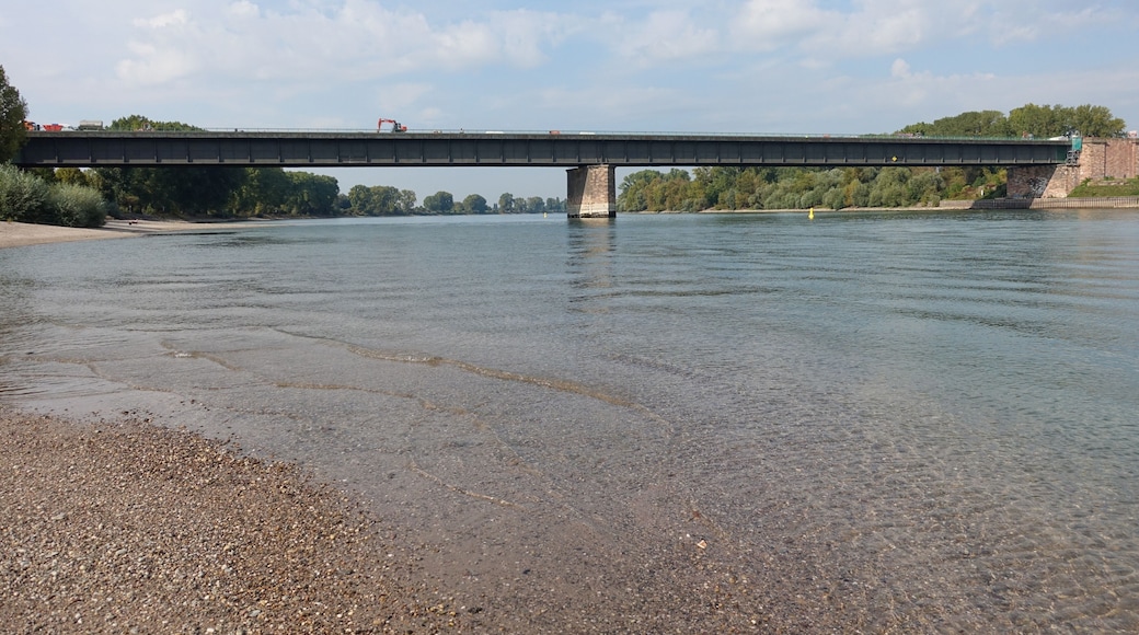 Theodor-Heuss-Bridge, German federal motorway "Autobahn 6 over the Rhine near Mannheim/Ludwigshafen/Frankenthal, middle part above the river