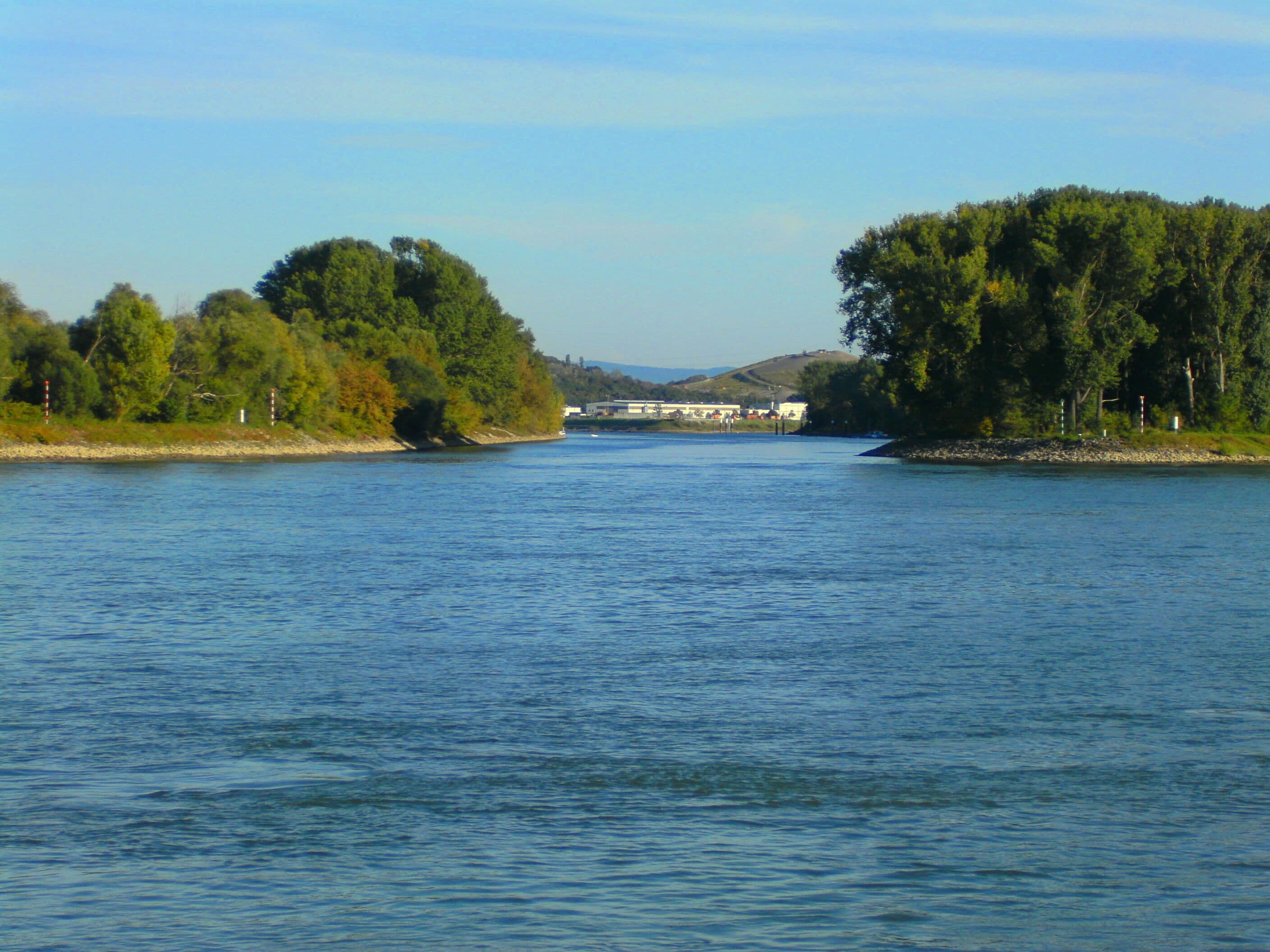 Der Altrheinarm nördlich der Neckarmündung mündet seinerseits nördlich der Friesenheimer Insel in den Rhein