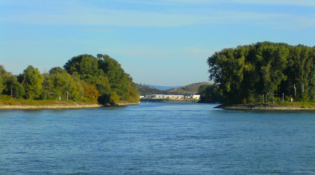 Der Altrheinarm nördlich der Neckarmündung mündet seinerseits nördlich der Friesenheimer Insel in den Rhein