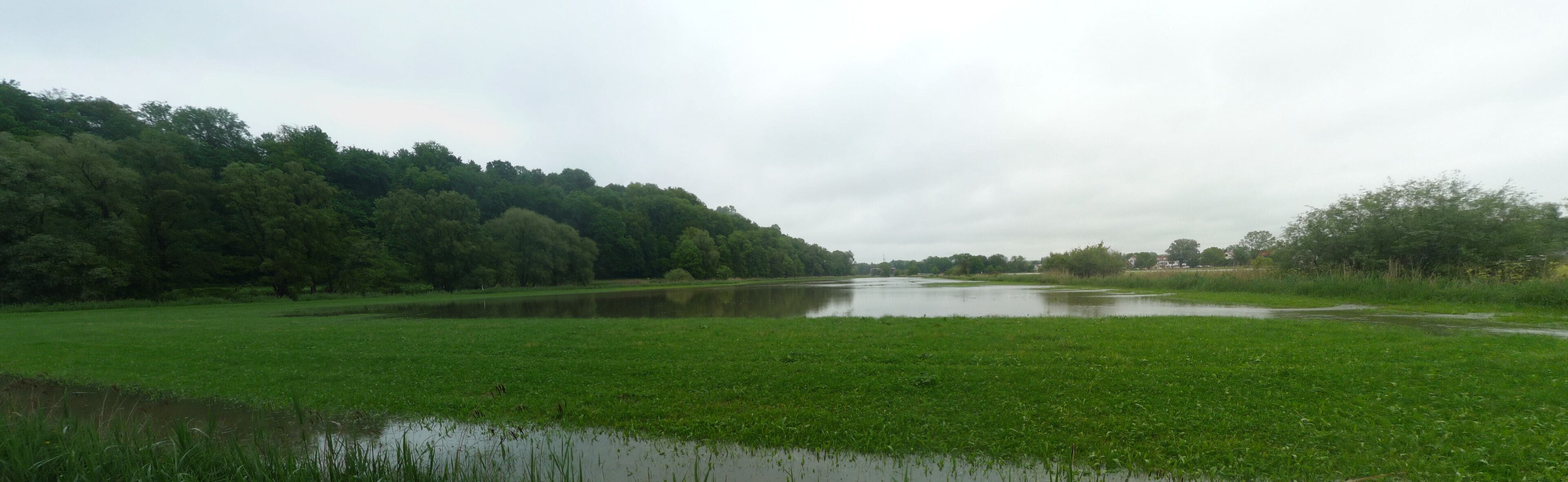 Hochwasser der Moosach in Freising im Juni 2013