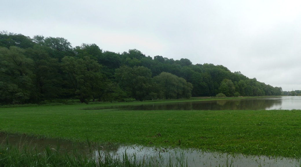 Hochwasser der Moosach in Freising im Juni 2013