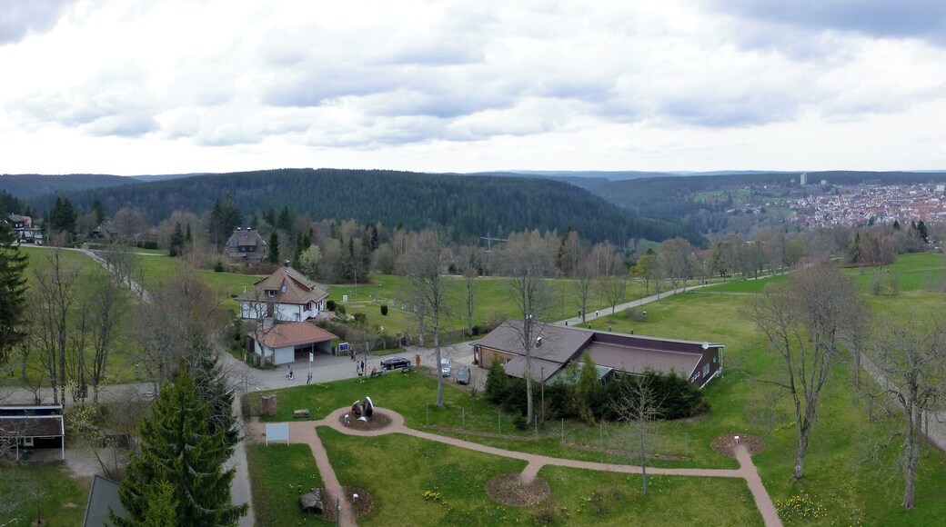 Panoramafoto von der oberen Plattform des Friedrichsturms mit Blick nach Norden auf Freudenstadt