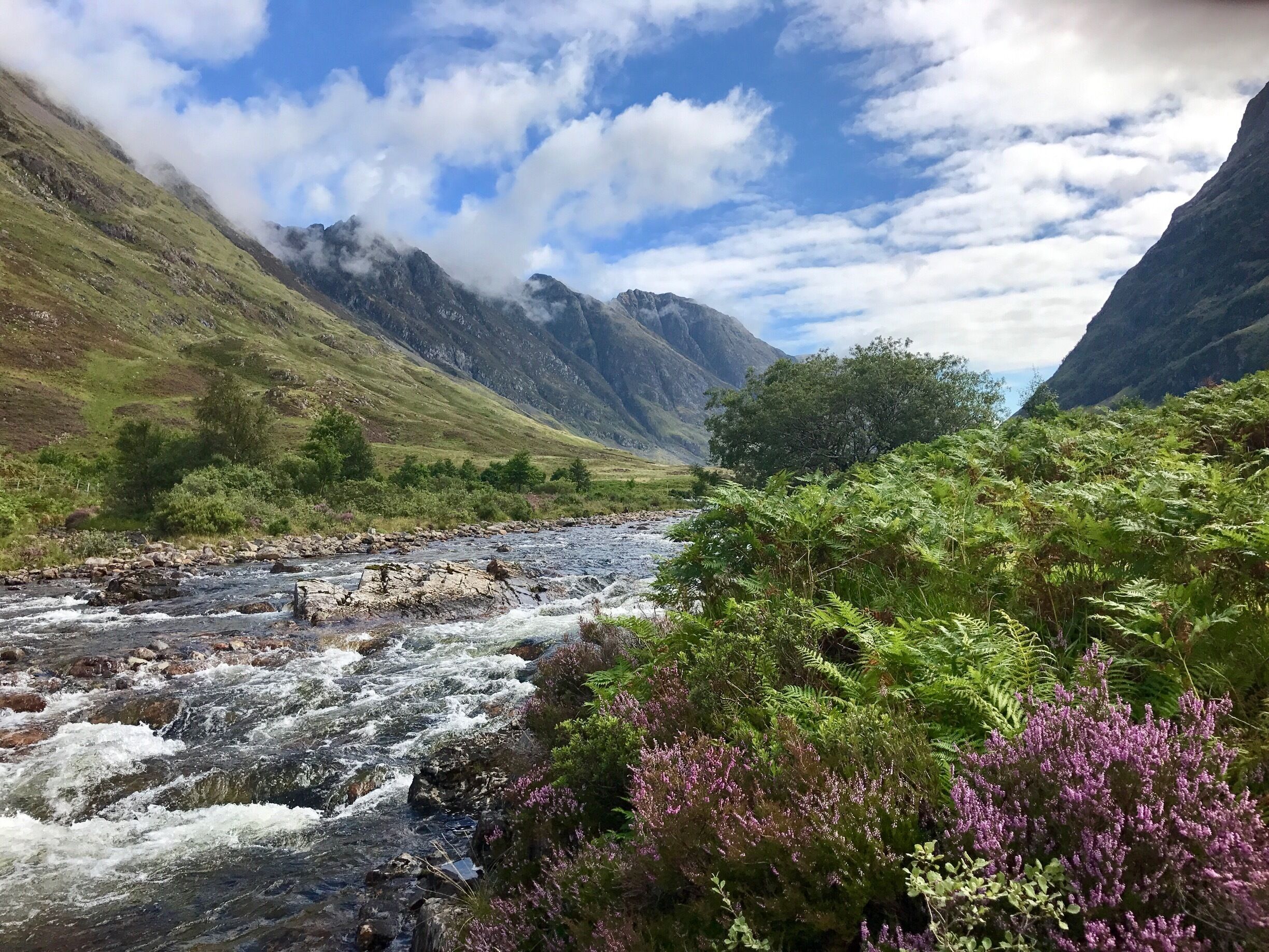 A river flowing through a mountainous landscape with green hills and purple heather shrubs.