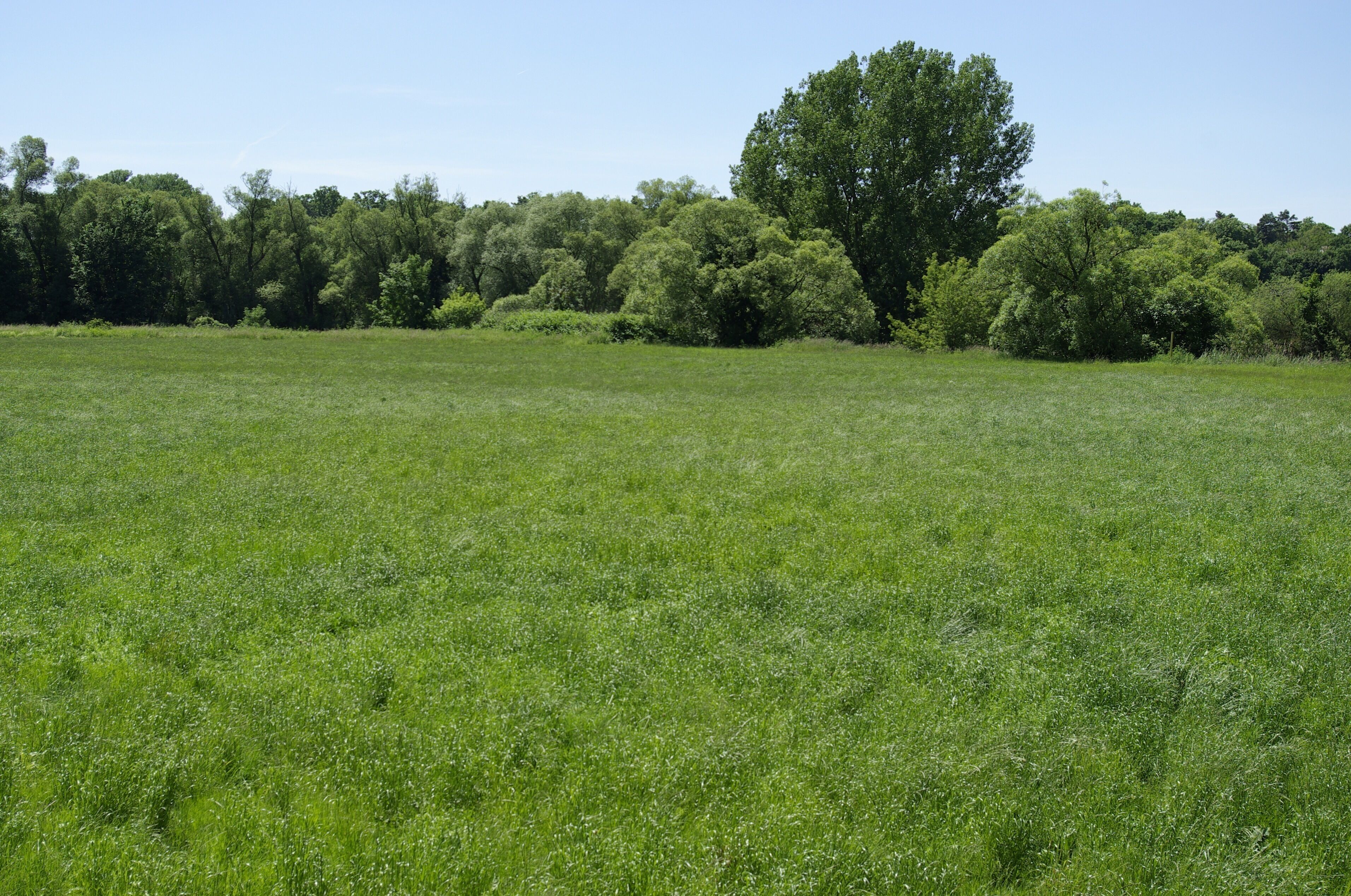 Blick vom Fürther Stadtteil Stadeln über das Regnitztal nach Westen.