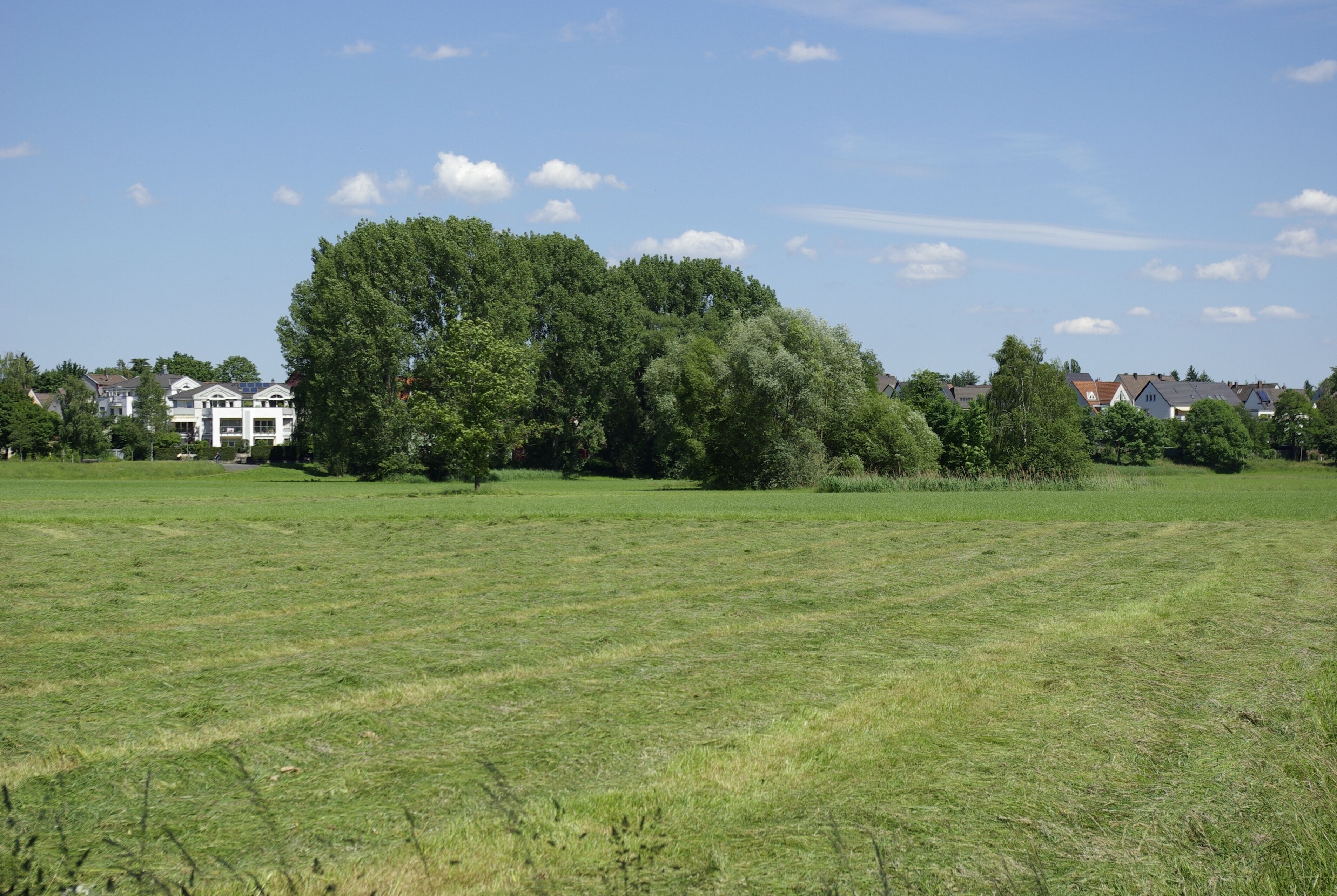 Blick über das Pegnitztal in Fürth. Das gesamte Pegnitztal in Fürth, einschließlich Stadtpark und Kleine Mainau, ist Teil des Landschaftsschutzgebietes Rednitz-, Pegnitz- und Regnitztalsystem.
